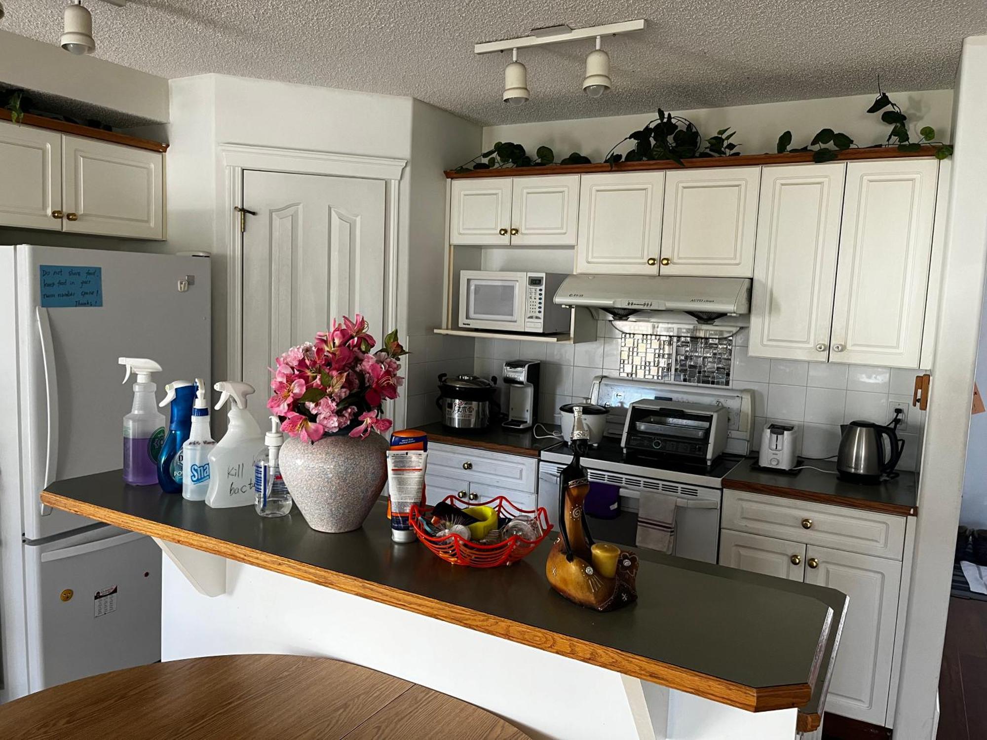 Hidden Valley New Basement Suite With Private Bathroom! YYC Esterno foto